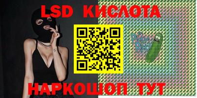 спайс Кулебаки