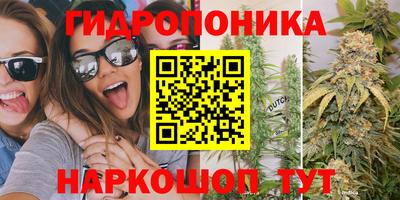 спайс Кулебаки